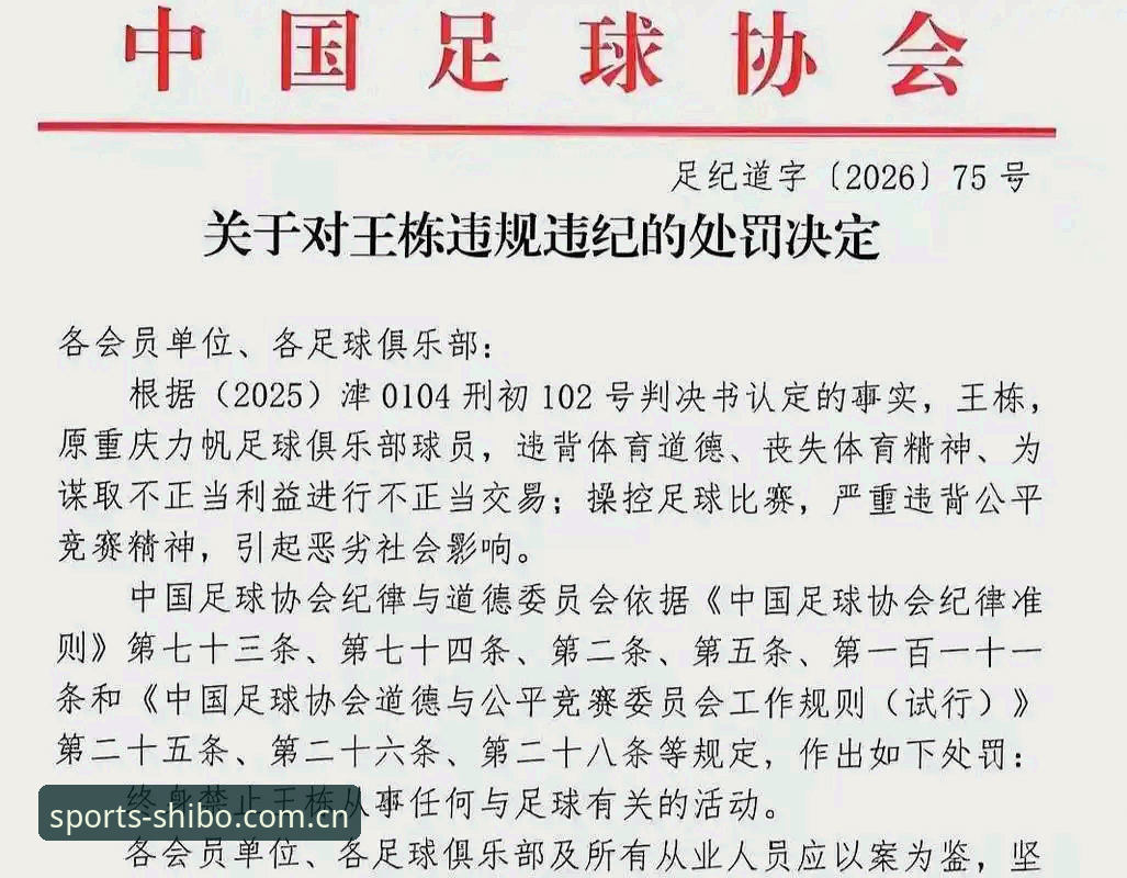 中国足协第三批禁足名单深度解析：在十博体育平台追踪行业反腐完整指南
